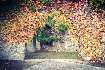 Chapelle Saint-Jean-Baptiste (XIIe siècle) de Château-Renault.