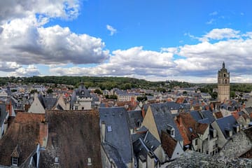 Cité Royale de Loches (37)